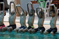 Primary student group study to swim at this pool.